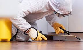 Best Pest Exclusion Services  in Macclenny, FL